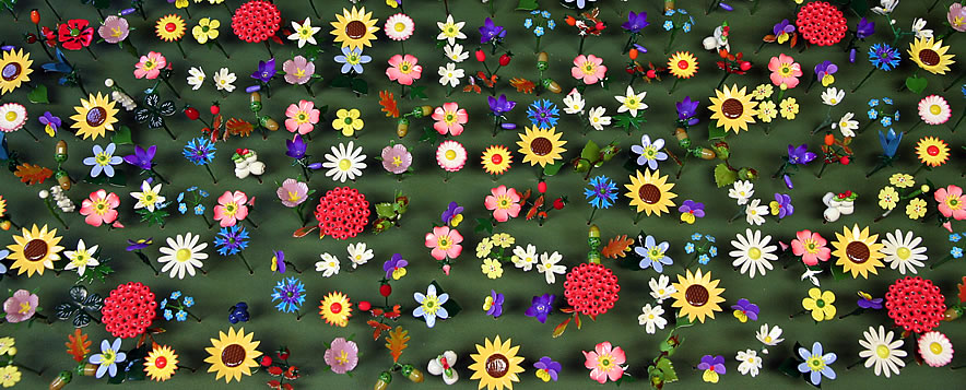 Produktion Blumenwiese